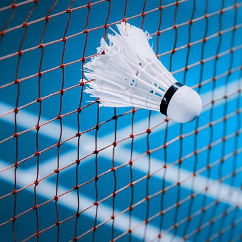 Badminton Nets